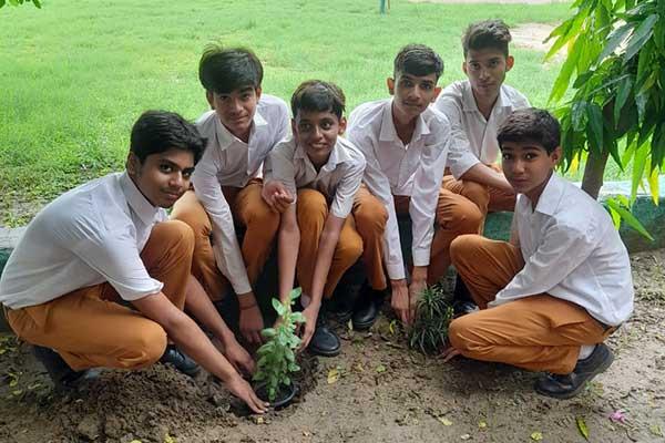 Plantation week is being celebrated at Maharshi Vidya Mandir, Agra Road, Aligarh from 16 to 22 July 2023, in which students are actively participating.